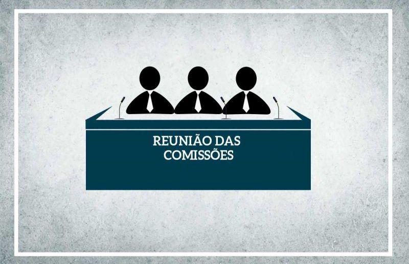 Conheça as Comissões Permanentes do biênio 2025-2026 da Câmara Municipal